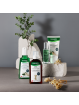Rausch Coffein-Linie mit Ginseng