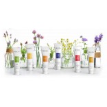 Phytoceutique